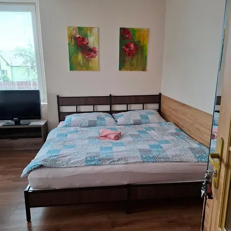 Guest house Privat Cujova